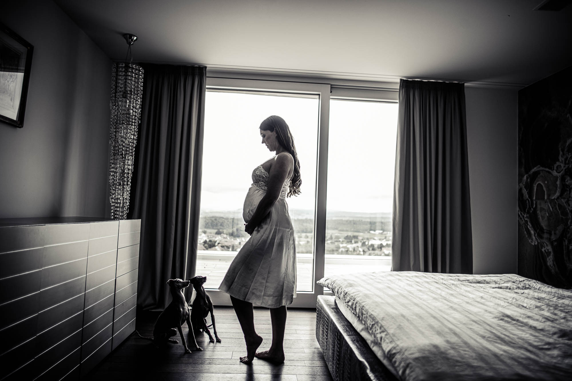 Export x3 1DX26131 Fotoshooting 2020 Zito 2